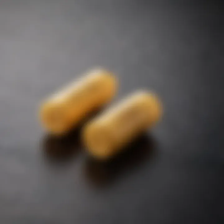 Different types of earplugs for motorcyclists